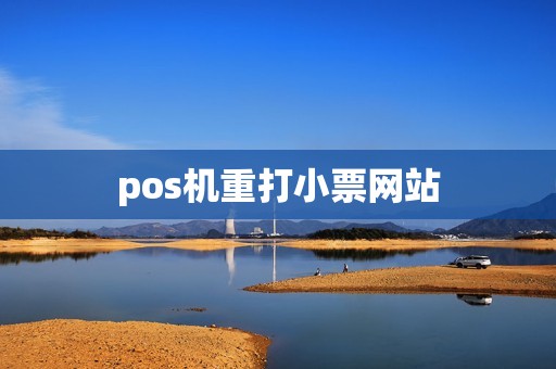 pos机重打小票网站