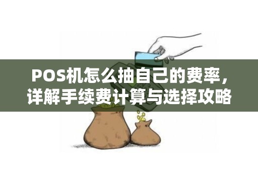 POS机怎么抽自己的费率,详解手续费计算与选择攻略 POS机怎么抽自己的费率,详解手续费计算与选择攻略