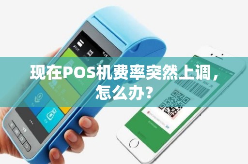 现在POS机费率突然上调，怎么办？