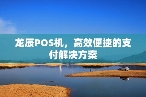龙辰POS机，高效便捷的支付解决方案