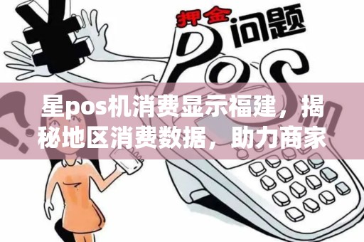 星pos机消费显示福建，揭秘地区消费数据，助力商家精准营销