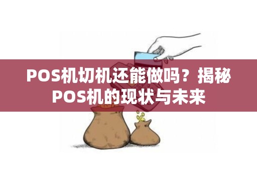 POS机切机还能做吗？揭秘POS机的现状与未来