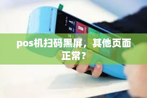 pos机扫码黑屏，其他页面正常？