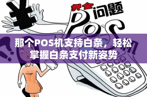 那个POS机支持白条，轻松掌握白条支付新姿势