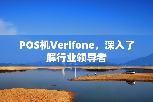 POS机Verifone，深入了解行业领导者