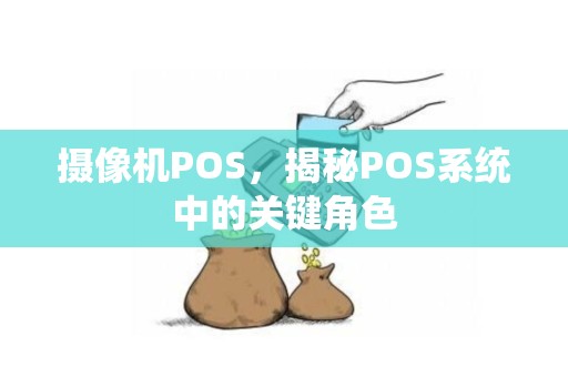 摄像机POS，揭秘POS系统中的关键角色