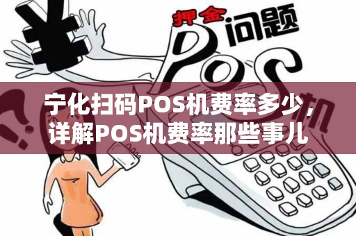 宁化扫码POS机费率多少，详解POS机费率那些事儿