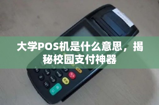 大学POS机是什么意思，揭秘校园支付神器