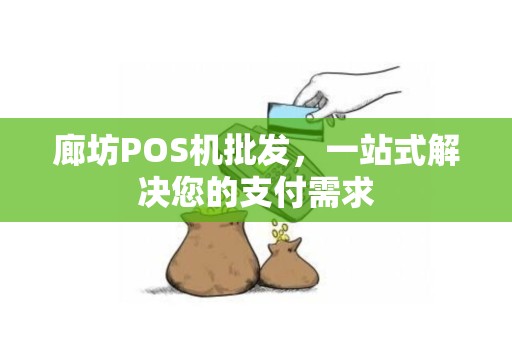廊坊POS机批发，一站式解决您的支付需求