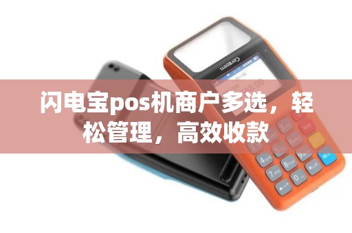 闪电宝pos机商户多选，轻松管理，高效收款