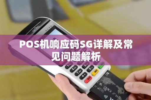 POS机响应码SG详解及常见问题解析