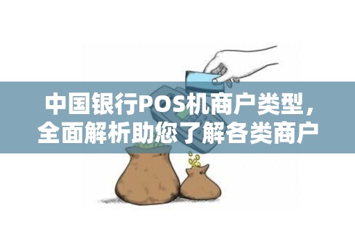 中国银行POS机商户类型，全面解析助您了解各类商户及操作指南