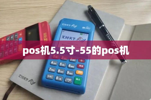 pos机5.5寸-55的pos机
