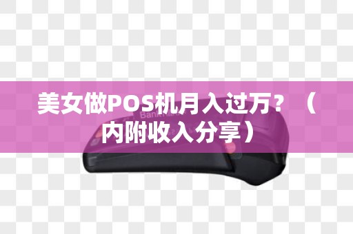 美女做POS机月入过万？（内附收入分享）