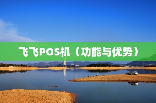 飞飞POS机（功能与优势）