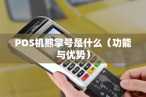 POS机熊掌号是什么（功能与优势）
