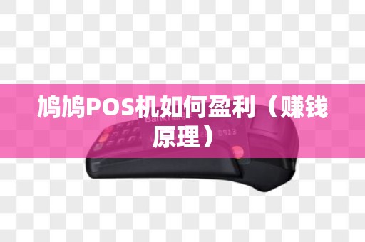 鸠鸠POS机如何盈利（赚钱原理）