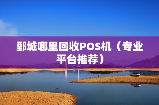 鄄城哪里回收POS机（专业平台推荐）