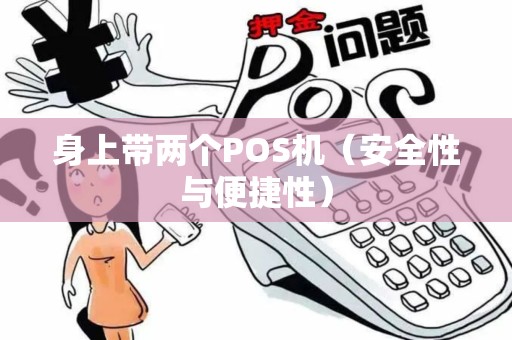 身上带两个POS机（安全性与便捷性）