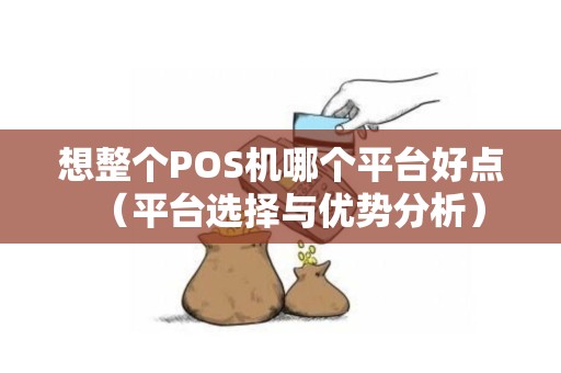 想整个POS机哪个平台好点（平台选择与优势分析）