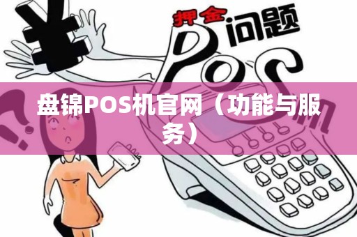 盘锦POS机官网（功能与服务）