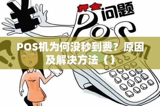 POS机为何没秒到费？原因及解决方法（）