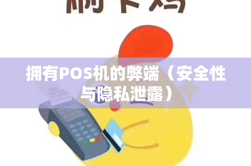 拥有POS机的弊端（安全性与隐私泄露）