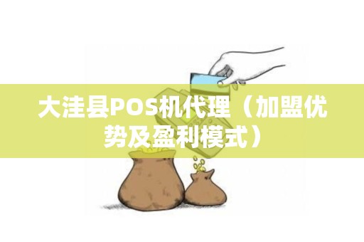 大洼县POS机代理（加盟优势及盈利模式）