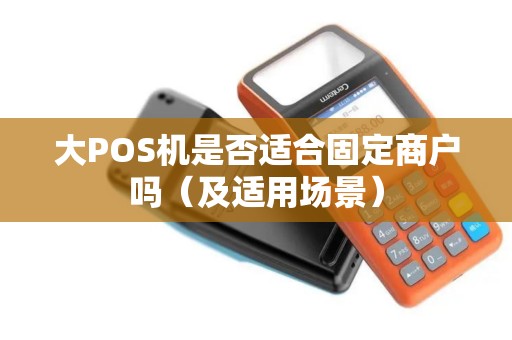 大POS机是否适合固定商户吗（及适用场景）