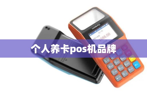 个人养卡pos机品牌
