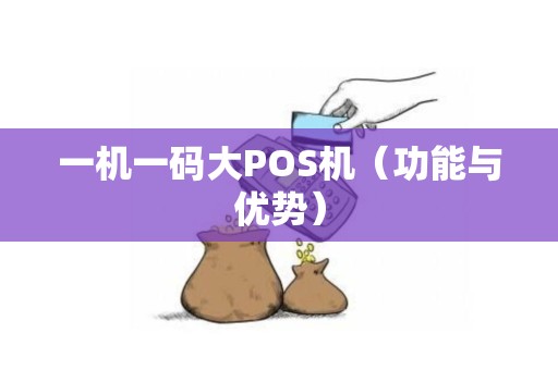 一机一码大POS机（功能与优势）