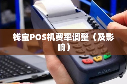钱宝POS机费率调整（及影响）