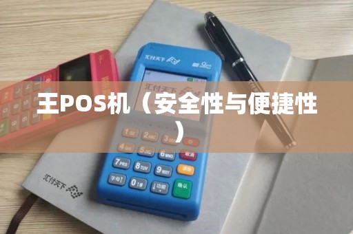 王POS机（安全性与便捷性）