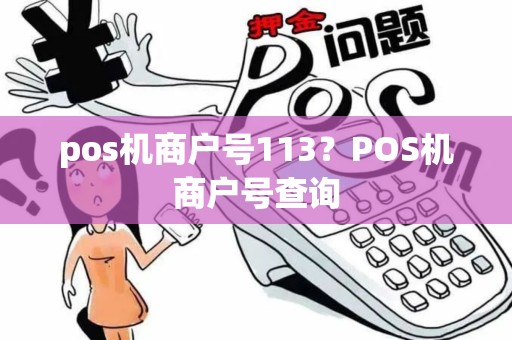 pos机商户号113？POS机商户号查询