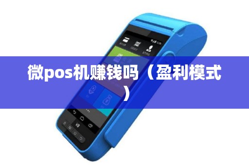 微pos机赚钱吗（盈利模式）