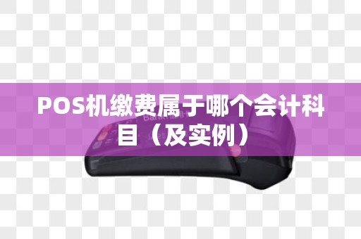 POS机缴费属于哪个会计科目（及实例）