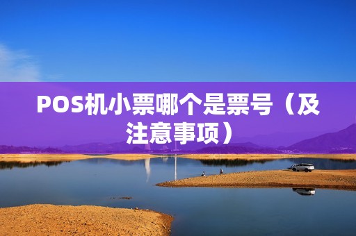 POS机小票哪个是票号（及注意事项）