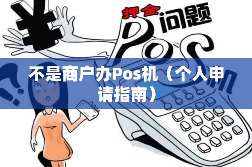 不是商户办Pos机（个人申请指南）